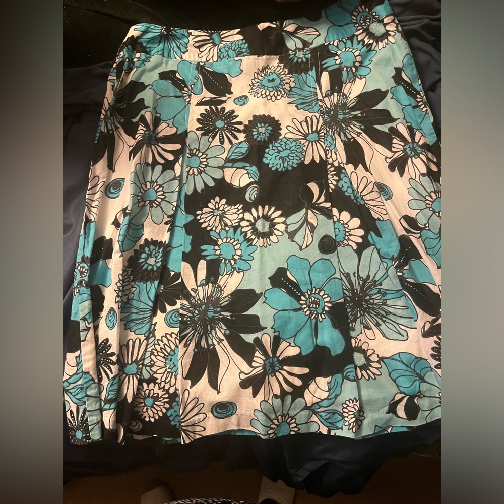 Briggs New York Skirt Size 8